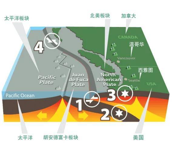 关于新疆地震网最新消息解析及应对策略全面指南的信息