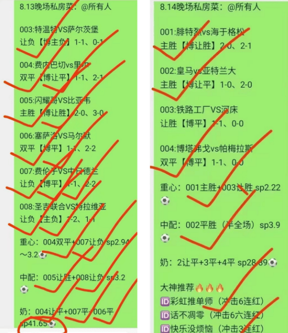 关于勒沃库森vs斯图加特阵容预测的信息